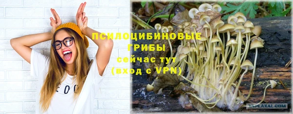 а пвп мука Аркадак