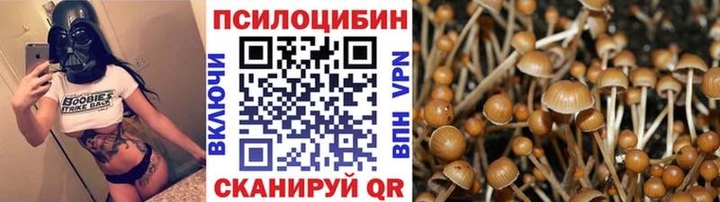 Купить закладки  Усть-Джегута  Галлюциногенные грибы Magic Shrooms 